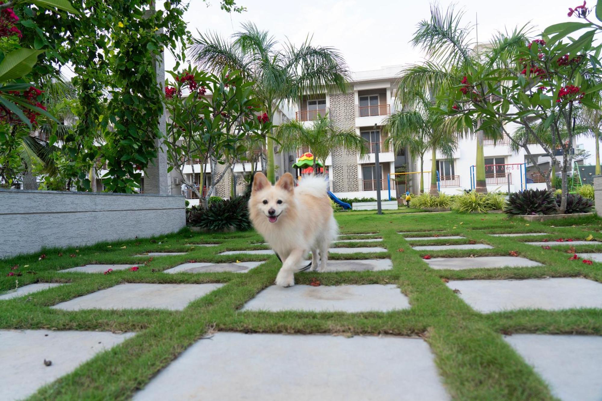 Palm Regal Resort โกปาลปุระ ภายนอก รูปภาพ