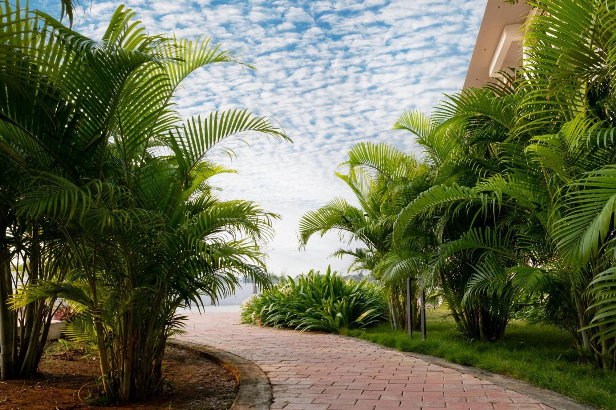 Palm Regal Resort โกปาลปุระ ภายนอก รูปภาพ